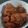 Cooksnap dari Lia jepank untuk resep Ayam filet saus tiram