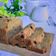 Cooksnap dari Dika Noveri untuk resep Bolu Pisang #PR_Babananakeik