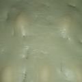El cooksnap de Veronica Azziorri cuando hizo Tarta de acelga con atún y queso muzzarella.