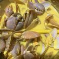 Cooksnap Rosie Mosie semasa beliau membuat Lala Masak Lemak Cili Api.
