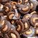 Cooksnap dari Ira Alfia untuk resep Kukis Coklat Mete