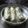 Jyoti Shah's cooksnap of when they made પાત્રા (Patra Recipe In Gujarati).