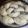 El cooksnap de Erika Andrea Milla cuando hizo Masa de empanadas criolla (horno).