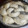 El cooksnap de Erika Andrea Milla cuando hizo Masa de empanadas criolla (horno).