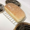 Island bake head's cooksnap of when they made White Sandwich Bread - 1 Loaf.