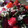 Junquo M Hill's cooksnap of when they made Basil Beets.