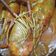 Cooksnap dari Moeza untuk resep *udang galah saus padang menor*
