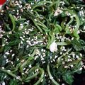 Cooksnap dari Siska untuk resep SALAD BAYAM ala JEPANG