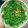 Hannah Ren 的 破布子炒龍鬚菜 cooksnap