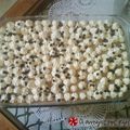 Cooksnap από tasa.dimi στη συνταγή Σοκολατένιο μπισκοτογλυκό