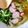 El cooksnap de Bibi García cuando hizo Pozole verde de pollo.