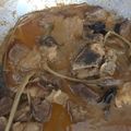 Cooksnap dari Olyvia Anggraini untuk resep Rendang daging sapi