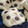 El cooksnap de Camila cuando hizo Galletitas con chips de chocolate.