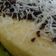 Cooksnap dari Narti Umma Atikah Binta Kapuadi 👩 untuk resep Bolu Jerman Kukus