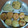 Prafulla Ramoliya's cooksnap of when they made વેજ.ચીઝ રવા અપપ્મ.