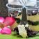 Cooksnap dari Momy Vira untuk resep Lumer Cheesecake