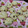 El cooksnap de Alejandra Felártigas cuando hizo Cookies con chips de chocolate.