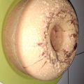 Cooksnap dari Nita Muy untuk resep Bolu jadul 4 Telur