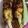 Dipti Mehrotra's cooksnap of when they made Bhutta.