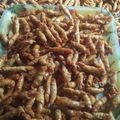 Cooksnap dari Ummu Faqih untuk resep Kacang Sembunyi Karamel