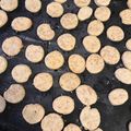 El cooksnap de Analia camejo rivero cuando hizo Galletitas saladas saborizadas.