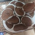 El cooksnap de Tamara Henarejos Caracena cuando hizo Cupcakes de brownie crujientes y con chocolate fundido dentro.