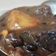 La cooksnap de Dunia Abdplm cuando cocinó Alubias negras guisadas