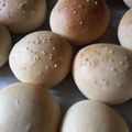 sophisticatedsofia's cooksnap of when they made Homemade Hamburger Buns.