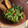 El cooksnap de Claudia Rojas cuando hizo Ensalada de espinacas y fresa con aderezo de poppy seed.
