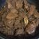 Cooksnap dari Jesica Uliartha untuk resep Rendang Daging