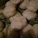 Cooksnap dari nunik wahyuni untuk resep Siomay ayam