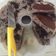 Cooksnap dari Tyas Umma Warthi untuk resep Pudding Choco Oreo milk