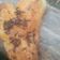 Cooksnap dari Zuwaini Asror untuk resep Pisang goreng kipas collat keju