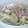 El cooksnap de Josep cuando hizo Espagueti carbonara.