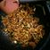 Cooksnap dari Siska Prapsiwi untuk resep Kwetiaw Goreng