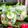 Cooksnap dari Julia Selinda untuk resep Virgin mojito mint