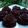 Cooksnap dari Cicik Ary untuk resep BOLU COKLAT KUKUS UNIK