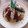 El cooksnap de Daniela Jesús Neumann Wendling cuando hizo Waffles.