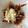 El cooksnap de damarisp1 cuando hizo Fideos secos.
