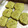 Angel's cooksnap of when they made Matcha Cookies.