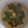 Cooksnap dari Rohmana Putri Alfiyah untuk resep Sayur bening bayam