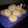 El cooksnap de Kari cuando hizo Alfajores de Maizena.