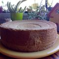 El cooksnap de Karina Lemi💖 cuando hizo Bizcochuelo especial para tortas🎂.