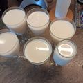 Cooksnap από Βασιλική Σπανού στη συνταγή Pannacotta light