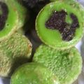 Cooksnap dari Fitzaki Kitchen untuk resep Kue sara