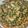 闕琪琪 的 蔥蛋 cooksnap