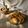 El cooksnap de ⊹⊱ 𝔾𝕚 ⊰⊹ cuando hizo Mega cookie saludable con harina de coco y pasas.