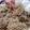 Ghazala Naeem's cooksnap of when they made White biryani.