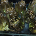 El cooksnap de Mariquilla cuando hizo Alcachofas al microondas.