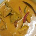 Cooksnap Maryam Al Adzra semasa beliau membuat Gulai Ikan Tongkol.